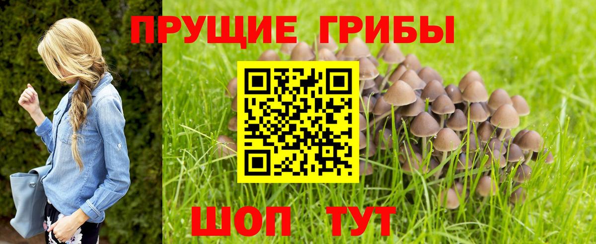 Галлюциногенные грибы GOLDEN TEACHER  Вход с VPN  Кунгур 